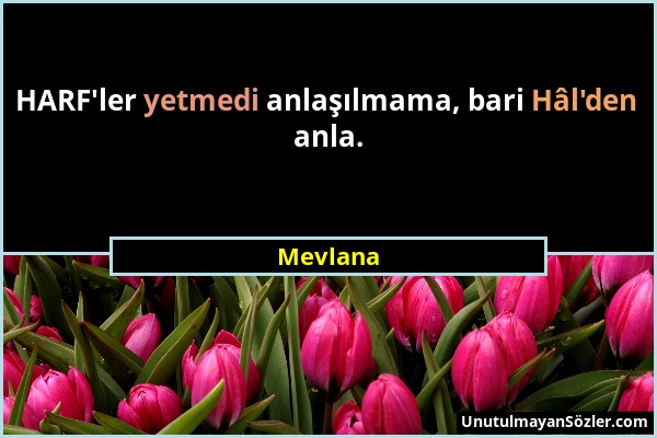 Mevlana - HARF'ler yetmedi anlaşılmama, bari Hâl'den anla....