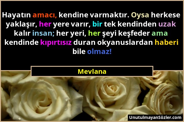 Mevlana - Hayatın amacı, kendine varmaktır. Oysa herkese yaklaşır, her yere varır, bir tek kendinden uzak kalır insan; her yeri, her şeyi keşfeder ama...