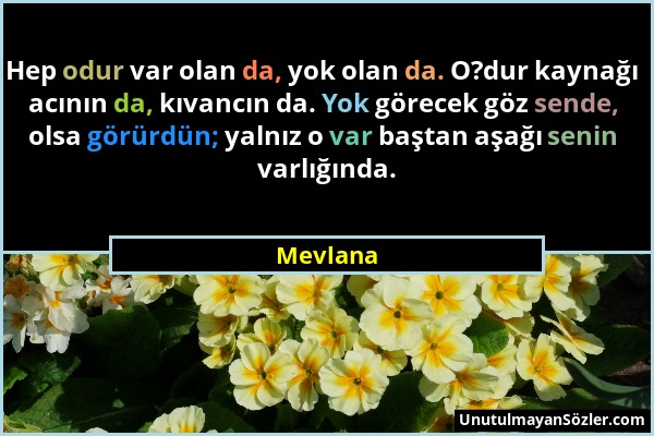 Mevlana - Hep odur var olan da, yok olan da. O?dur kaynağı acının da, kıvancın da. Yok görecek göz sende, olsa görürdün; yalnız o var baştan aşağı sen...