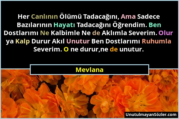 Mevlana - Her Canlının Ölümü Tadacağını, Ama Sadece Bazılarının Hayatı Tadacağını Öğrendim. Ben Dostlarımı Ne Kalbimle Ne de Aklımla Severim. Olur ya...