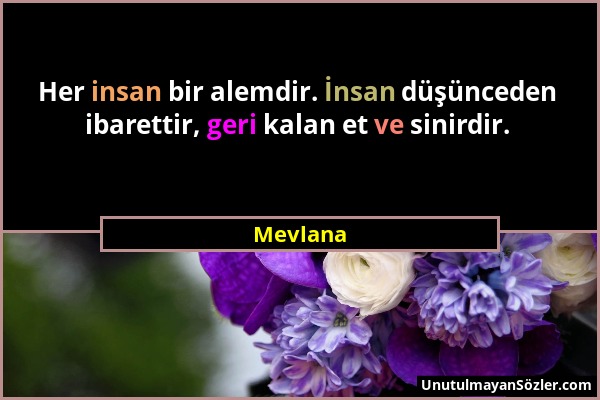Mevlana - Her insan bir alemdir. İnsan düşünceden ibarettir, geri kalan et ve sinirdir....