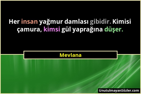 Mevlana - Her insan yağmur damlası gibidir. Kimisi çamura, kimsi gül yaprağına düşer....