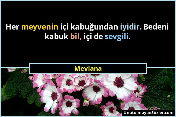 Mevlana - Her meyvenin içi kabuğundan iyidir. Bedeni kabuk bil, içi de sevgili....