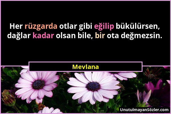 Mevlana - Her rüzgarda otlar gibi eğilip bükülürsen, dağlar kadar olsan bile, bir ota değmezsin....