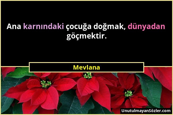 Mevlana - Ana karnındaki çocuğa doğmak, dünyadan göçmektir....