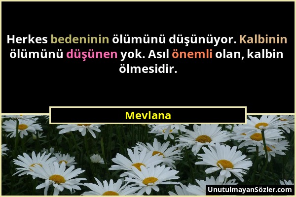 Mevlana - Herkes bedeninin ölümünü düşünüyor. Kalbinin ölümünü düşünen yok. Asıl önemli olan, kalbin ölmesidir....