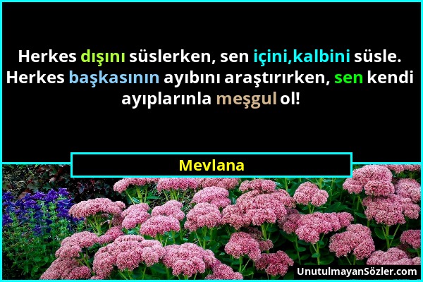 Mevlana - Herkes dışını süslerken, sen içini,kalbini süsle. Herkes başkasının ayıbını araştırırken, sen kendi ayıplarınla meşgul ol!...