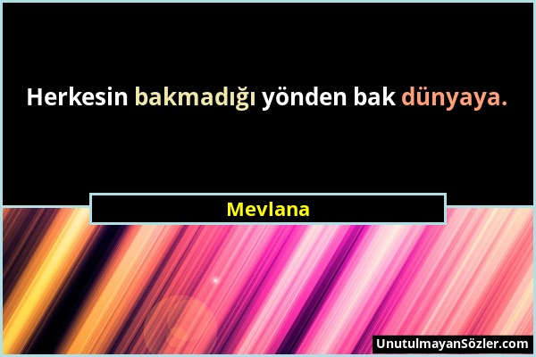 Mevlana - Herkesin bakmadığı yönden bak dünyaya....