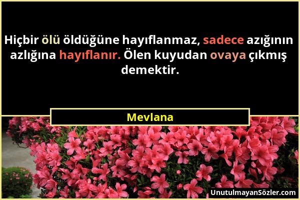 Mevlana - Hiçbir ölü öldüğüne hayıflanmaz, sadece azığının azlığına hayıflanır. Ölen kuyudan ovaya çıkmış demektir....