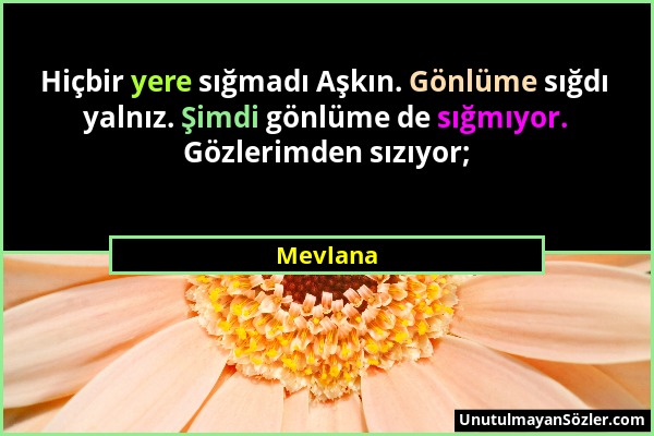 Mevlana - Hiçbir yere sığmadı Aşkın. Gönlüme sığdı yalnız. Şimdi gönlüme de sığmıyor. Gözlerimden sızıyor;...