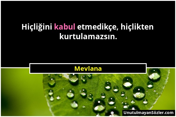Mevlana - Hiçliğini kabul etmedikçe, hiçlikten kurtulamazsın....