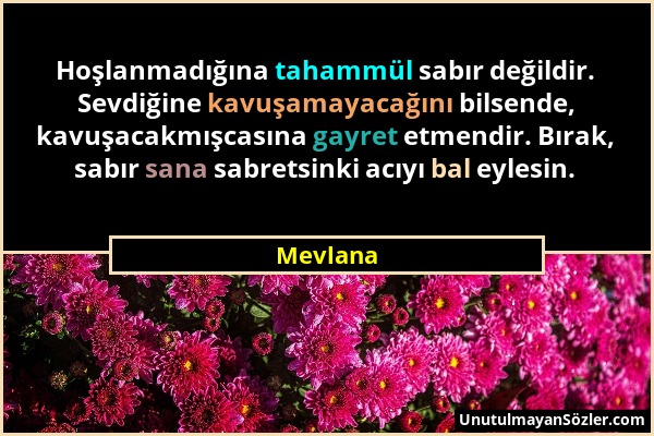 Mevlana - Hoşlanmadığına tahammül sabır değildir. Sevdiğine kavuşamayacağını bilsende, kavuşacakmışcasına gayret etmendir. Bırak, sabır sana sabretsin...