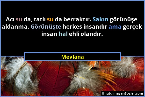 Mevlana - Acı su da, tatlı su da berraktır. Sakın görünüşe aldanma. Görünüşte herkes insandır ama gerçek insan hal ehli olandır....