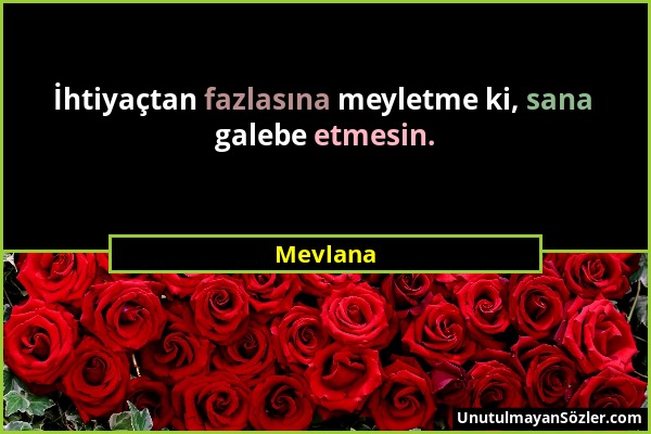 Mevlana - İhtiyaçtan fazlasına meyletme ki, sana galebe etmesin....