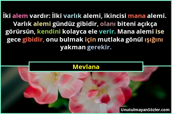 Mevlana - İki alem vardır: İlki varlık alemi, ikincisi mana alemi. Varlık alemi gündüz gibidir, olanı biteni açıkça görürsün, kendini kolayca ele veri...