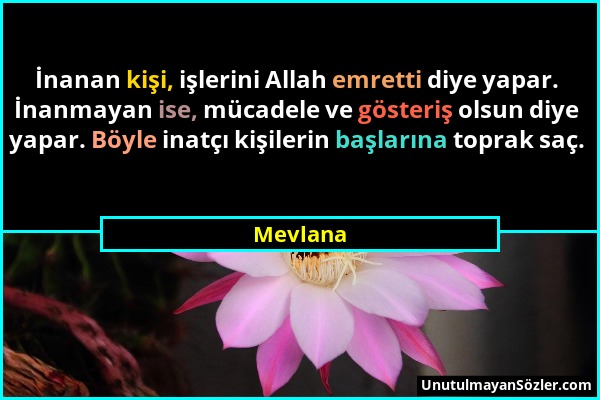 Mevlana - İnanan kişi, işlerini Allah emretti diye yapar. İnanmayan ise, mücadele ve gösteriş olsun diye yapar. Böyle inatçı kişilerin başlarına topra...