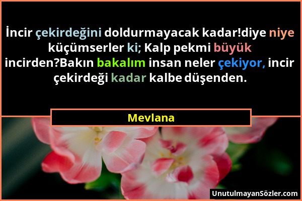 Mevlana - İncir çekirdeğini doldurmayacak kadar!diye niye küçümserler ki; Kalp pekmi büyük incirden?Bakın bakalım insan neler çekiyor, incir çekirdeği...