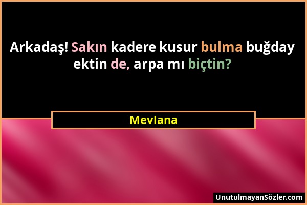 Mevlana - Arkadaş! Sakın kadere kusur bulma buğday ektin de, arpa mı biçtin?...