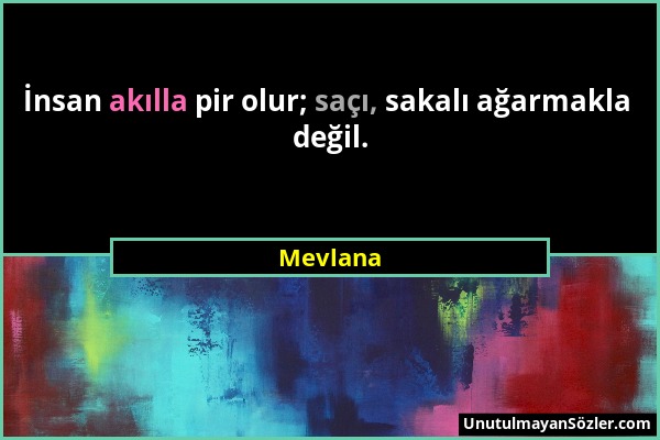 Mevlana - İnsan akılla pir olur; saçı, sakalı ağarmakla değil....