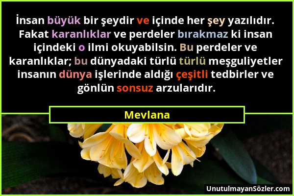 Mevlana - İnsan büyük bir şeydir ve içinde her şey yazılıdır. Fakat karanlıklar ve perdeler bırakmaz ki insan içindeki o ilmi okuyabilsin. Bu perdeler...
