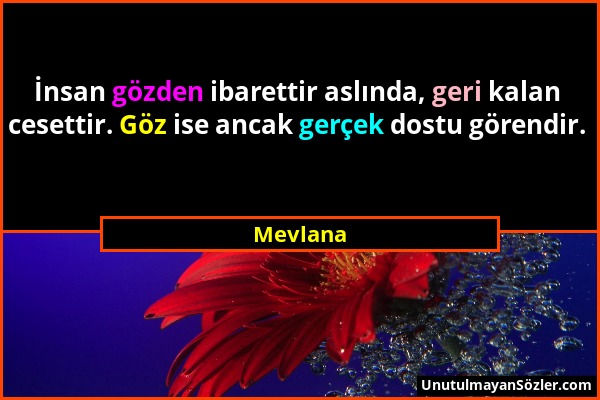 Mevlana - İnsan gözden ibarettir aslında, geri kalan cesettir. Göz ise ancak gerçek dostu görendir....