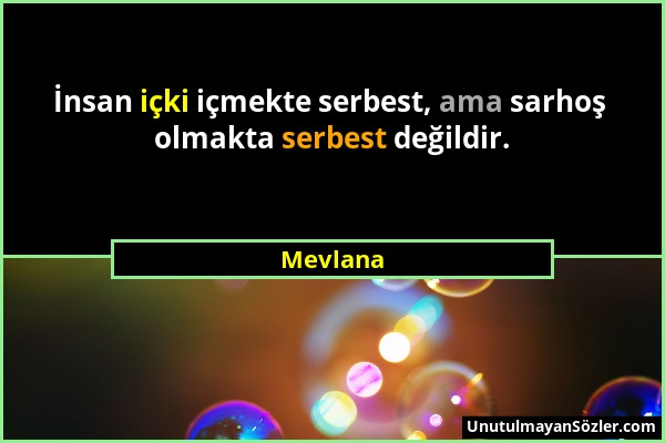Mevlana - İnsan içki içmekte serbest, ama sarhoş olmakta serbest değildir....