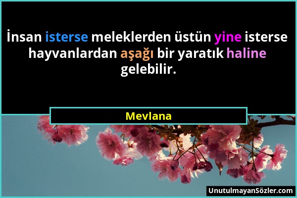 Mevlana - İnsan isterse meleklerden üstün yine isterse hayvanlardan aşağı bir yaratık haline gelebilir....