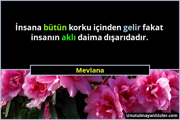 Mevlana - İnsana bütün korku içinden gelir fakat insanın aklı daima dışarıdadır....