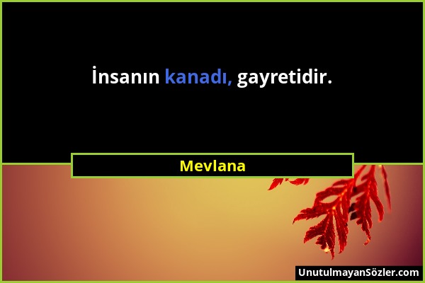 Mevlana - İnsanın kanadı, gayretidir....