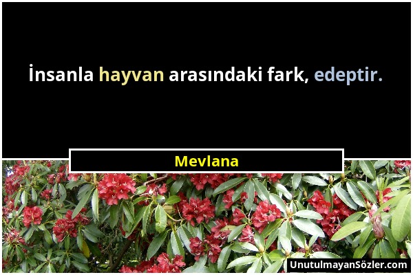 Mevlana - İnsanla hayvan arasındaki fark, edeptir....