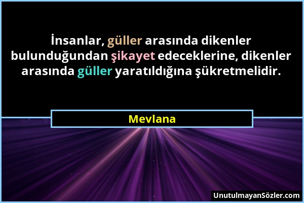 Mevlana - İnsanlar, güller arasında dikenler bulunduğundan şikayet edeceklerine, dikenler arasında güller yaratıldığına şükretmelidir....