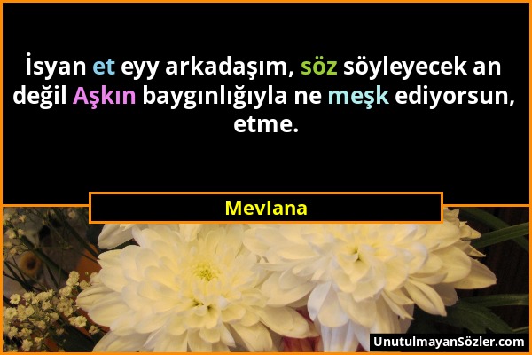 Mevlana - İsyan et eyy arkadaşım, söz söyleyecek an değil Aşkın baygınlığıyla ne meşk ediyorsun, etme....