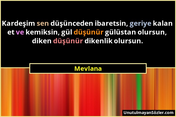 Mevlana - Kardeşim sen düşünceden ibaretsin, geriye kalan et ve kemiksin, gül düşünür gülüstan olursun, diken düşünür dikenlik olursun....