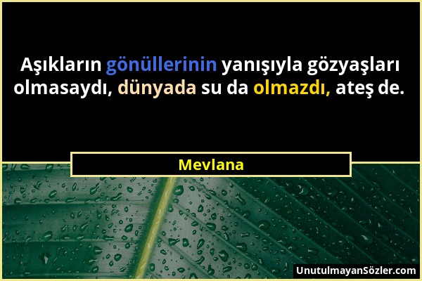 Mevlana - Aşıkların gönüllerinin yanışıyla gözyaşları olmasaydı, dünyada su da olmazdı, ateş de....