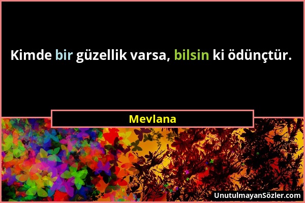 Mevlana - Kimde bir güzellik varsa, bilsin ki ödünçtür....