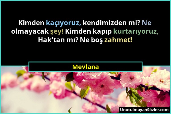 Mevlana - Kimden kaçıyoruz, kendimizden mi? Ne olmayacak şey! Kimden kapıp kurtarıyoruz, Hak'tan mı? Ne boş zahmet!...