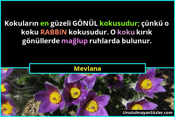 Mevlana - Kokuların en güzeli GÖNÜL kokusudur; çünkü o koku RABBiN kokusudur. O koku kırık gönüllerde mağlup ruhlarda bulunur....