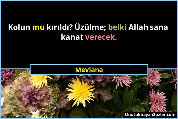 Mevlana - Kolun mu kırıldı? Üzülme; belki Allah sana kanat verecek....