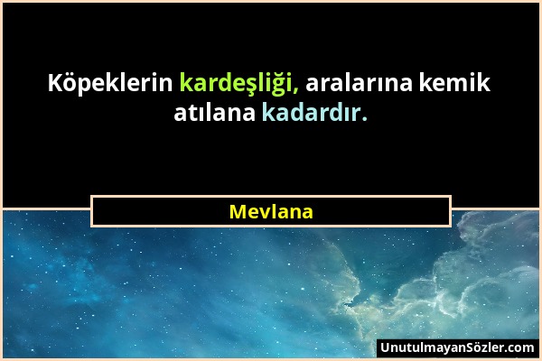 Mevlana - Köpeklerin kardeşliği, aralarına kemik atılana kadardır....