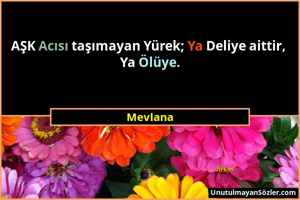 Mevlana - AŞK Acısı taşımayan Yürek; Ya Deliye aittir, Ya Ölüye....