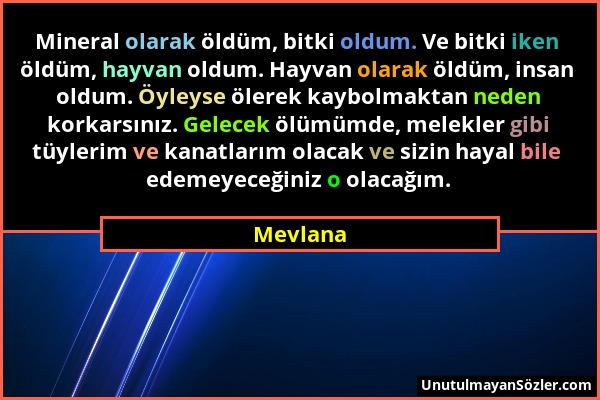 Mevlana - Mineral olarak öldüm, bitki oldum. Ve bitki iken öldüm, hayvan oldum. Hayvan olarak öldüm, insan oldum. Öyleyse ölerek kaybolmaktan neden ko...