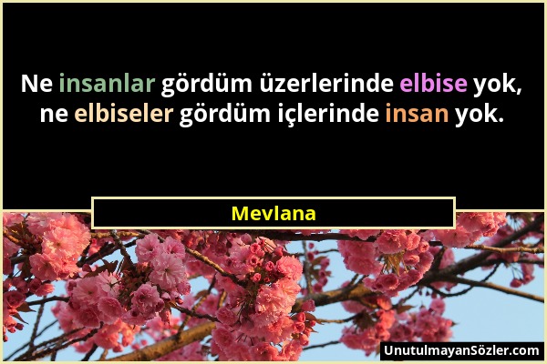 Mevlana - Ne insanlar gördüm üzerlerinde elbise yok, ne elbiseler gördüm içlerinde insan yok....