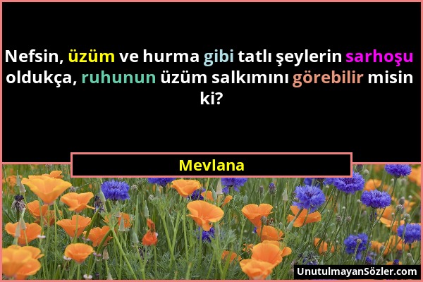 Mevlana - Nefsin, üzüm ve hurma gibi tatlı şeylerin sarhoşu oldukça, ruhunun üzüm salkımını görebilir misin ki?...