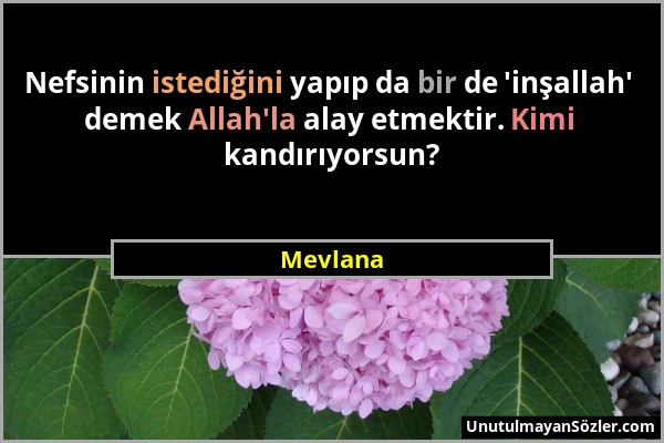 Mevlana - Nefsinin istediğini yapıp da bir de 'inşallah' demek Allah'la alay etmektir. Kimi kandırıyorsun?...