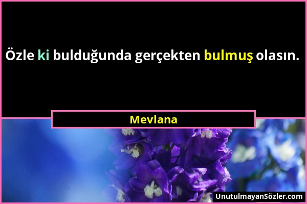 Mevlana - Özle ki bulduğunda gerçekten bulmuş olasın....