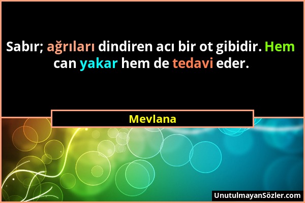 Mevlana - Sabır; ağrıları dindiren acı bir ot gibidir. Hem can yakar hem de tedavi eder....