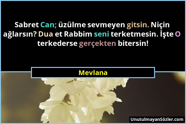 Mevlana - Sabret Can; üzülme sevmeyen gitsin. Niçin ağlarsın? Dua et Rabbim seni terketmesin. İşte O terkederse gerçekten bitersin!...