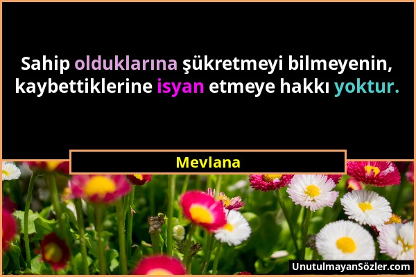 Mevlana - Sahip olduklarına şükretmeyi bilmeyenin, kaybettiklerine isyan etmeye hakkı yoktur....