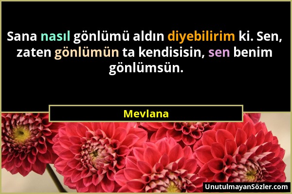 Mevlana - Sana nasıl gönlümü aldın diyebilirim ki. Sen, zaten gönlümün ta kendisisin, sen benim gönlümsün....