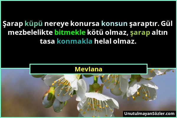 Mevlana - Şarap küpü nereye konursa konsun şaraptır. Gül mezbelelikte bitmekle kötü olmaz, şarap altın tasa konmakla helal olmaz....